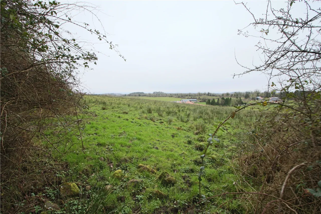 Photo of Drumoula, Eslinbridge, Carrick-On-Shannon, Leitrim, N41 YX04