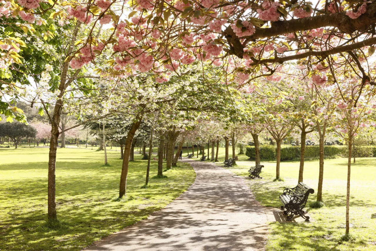 Photo of 107 Pembroke Cottages, Donnybrook, Dublin 4, D04 H5Y8
