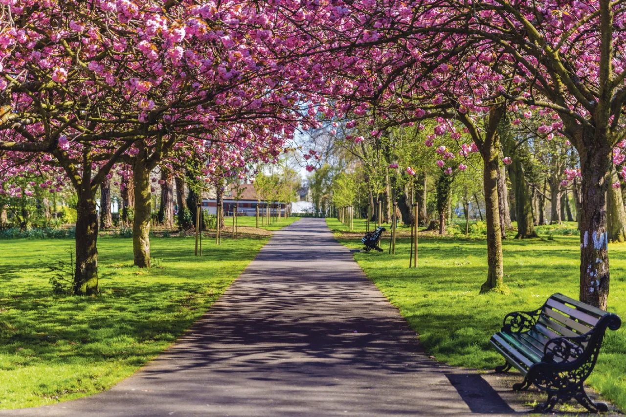 Photo of Melfort, 19 Shrewsbury Road, Ballsbridge, Dublin 4, D04 T0H7