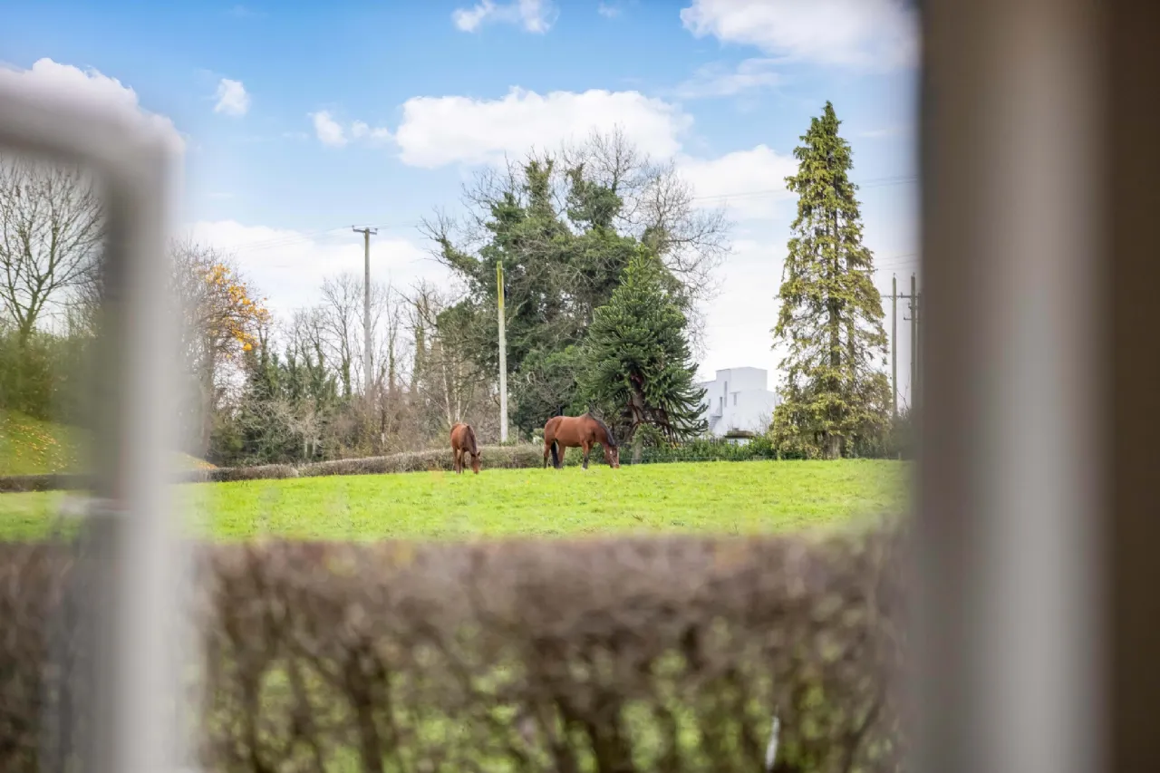 Photo of 34A Drumbear Wood, Monaghan Town, H18VY63