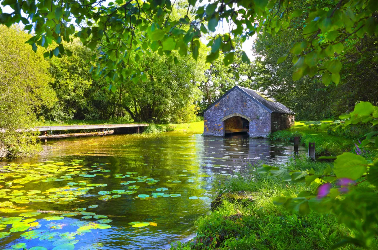 Photo of Bellevue House & Estate, Bellevue, Coolbaun, Nenagh, Co Tipperary, E45 HH57