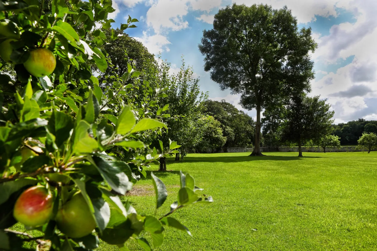 Photo of Bellevue House & Estate, Bellevue, Coolbaun, Nenagh, Co Tipperary, E45 HH57