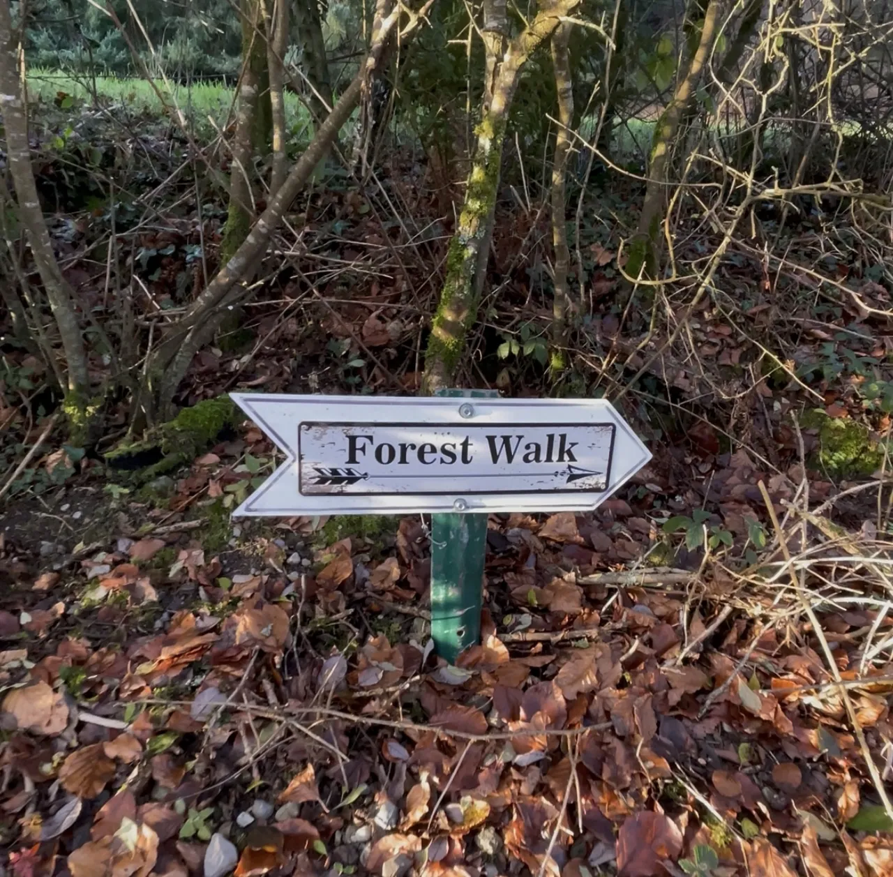 Photo of The Laurels, Ballymacarbry, Co Waterford, E91 P306