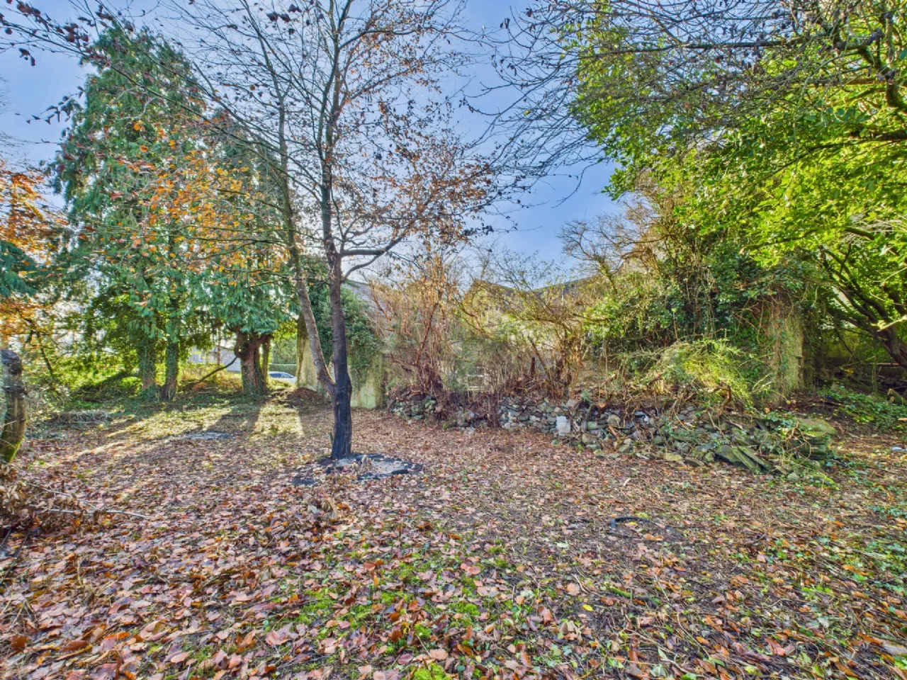 Photo of The Old Dispensary, Portroe, Nenagh, Co. Tipperary, E45 HR58