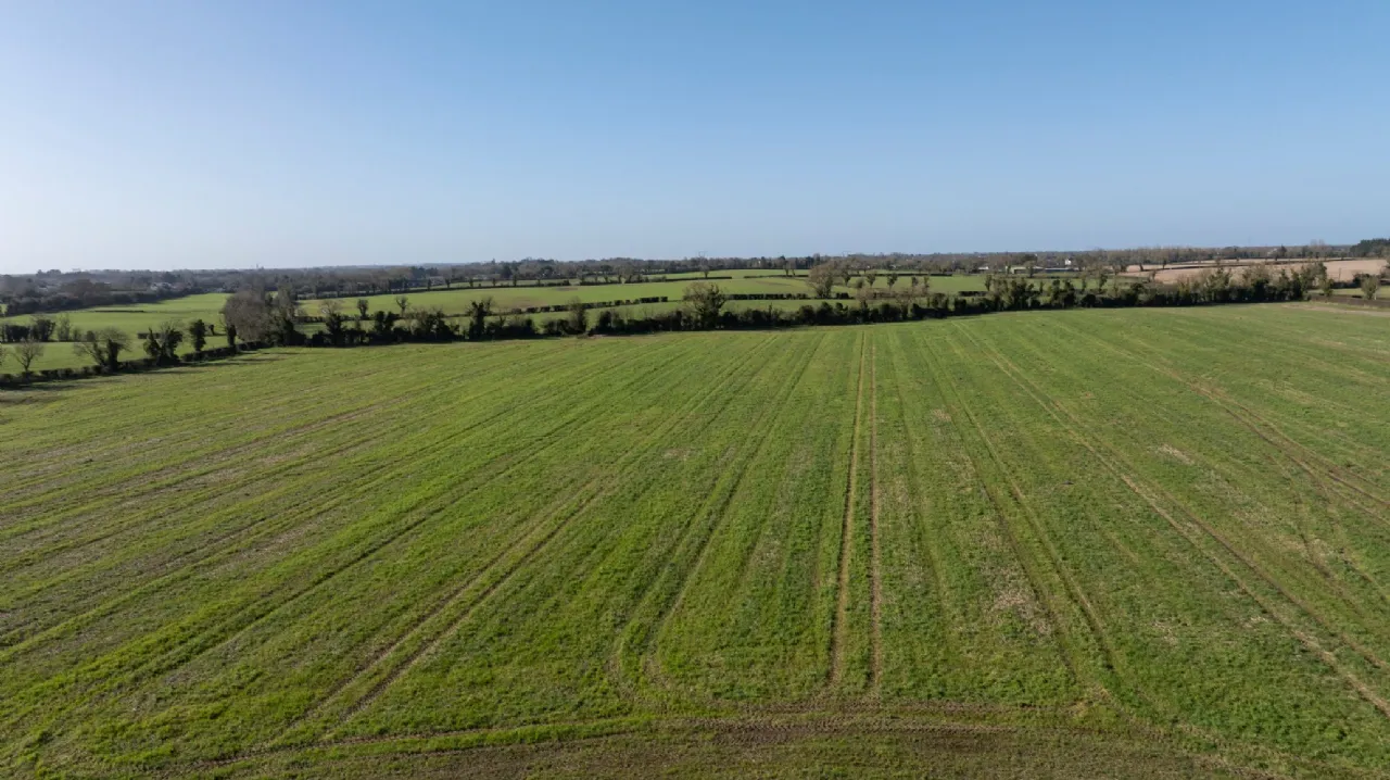 Photo of Lands At Herbertstown (The Entire), Approx. 17.3 Hectares (42.8 Acres), Dunboyne, County Meath