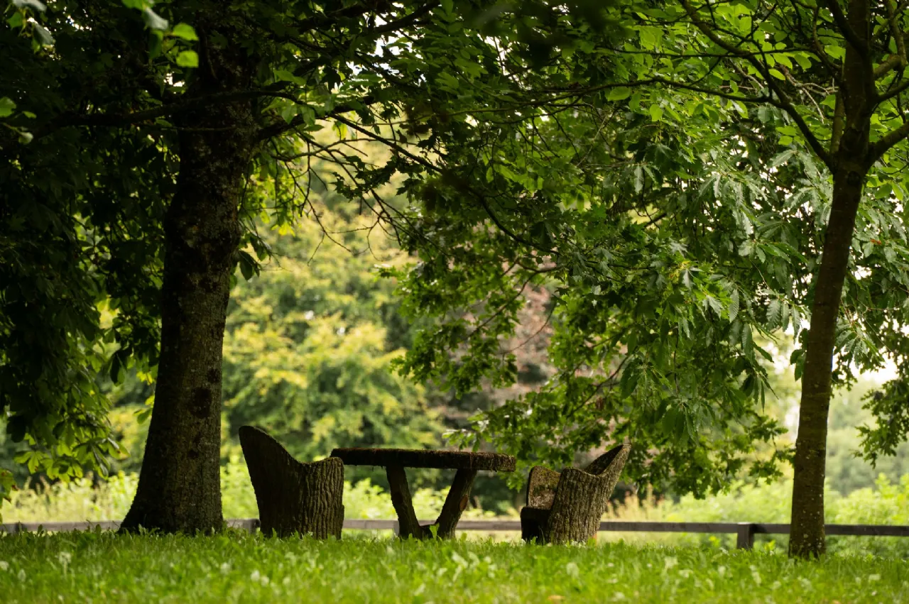 Photo of Triermore House and Stud Farm, Fordstown, Navan, County Meath, C15 H5KH