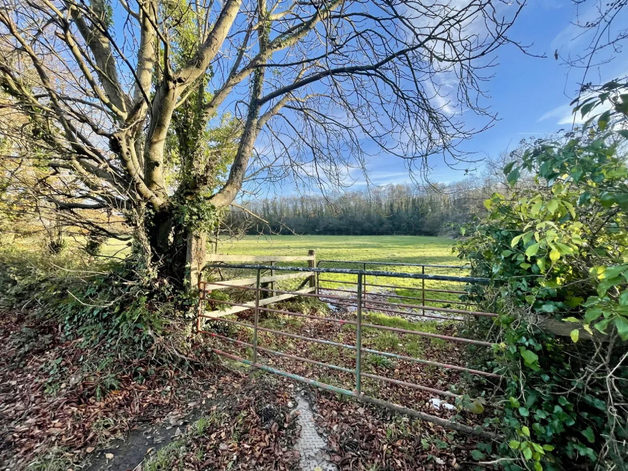 Photo of Land On N25 At Ahanaglogh, Entry Via Old Kilmacthomas Road, Kilmacthomas, Co Waterford