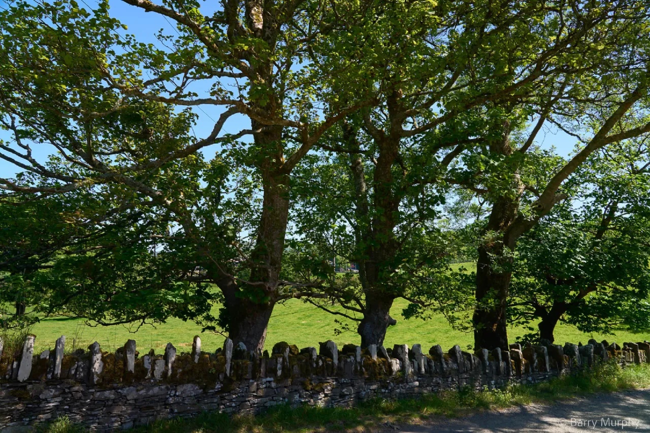 Photo of Ardeevin House, Beach, Bantry, Co. Cork, P75 PK20