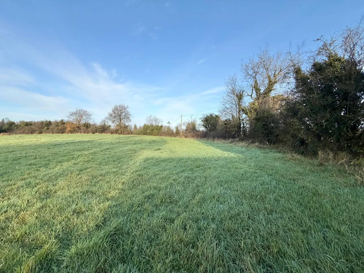 Photo of Site With F.P.P., Moyetra TD, Clontibret, Co. Monaghan