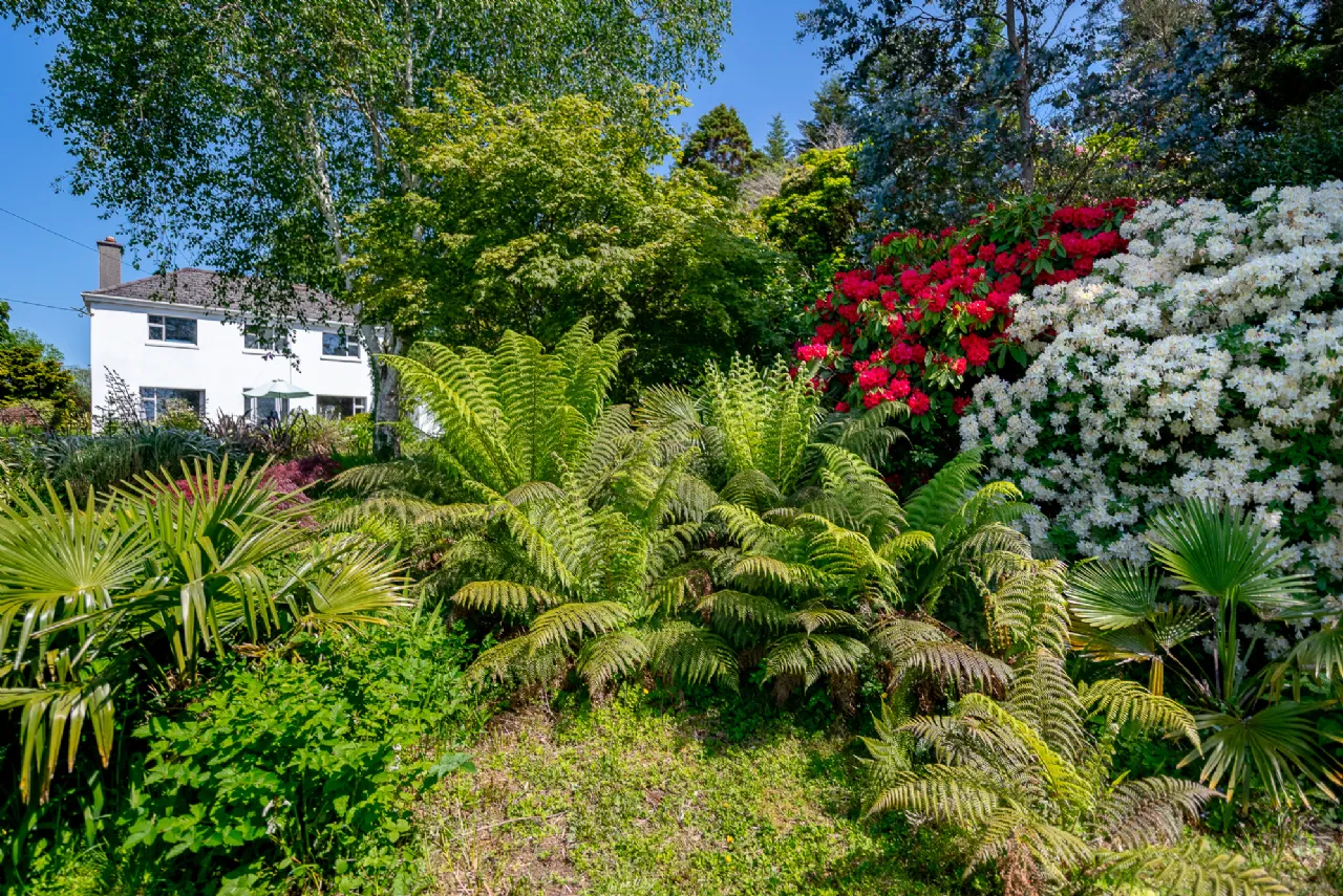 Photo of Woodside House, Sound Road, Kenmare, County Kerry, V93 X2R8