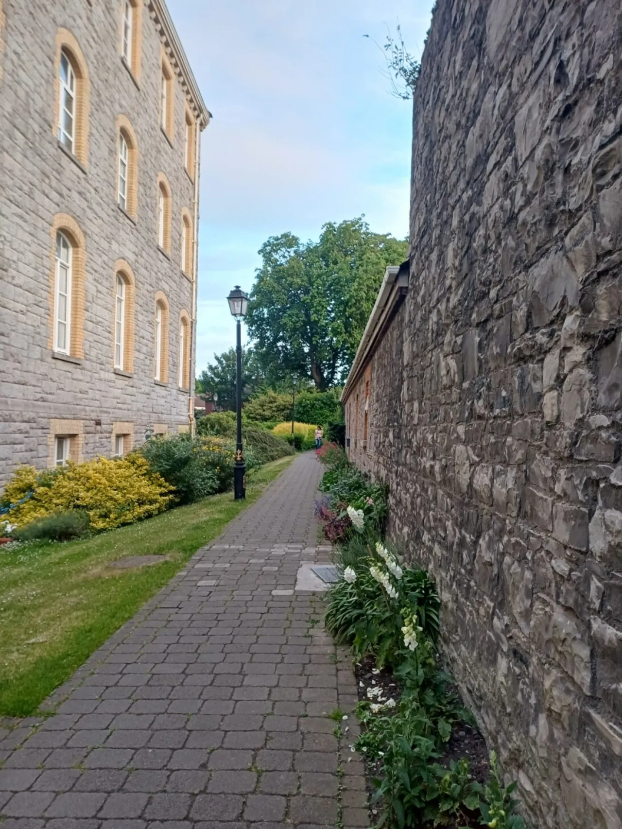 Photo of The Paddocks, Hybreasal, South Circular Road,, Kilmainham, Dublin 8, D08 P2T8