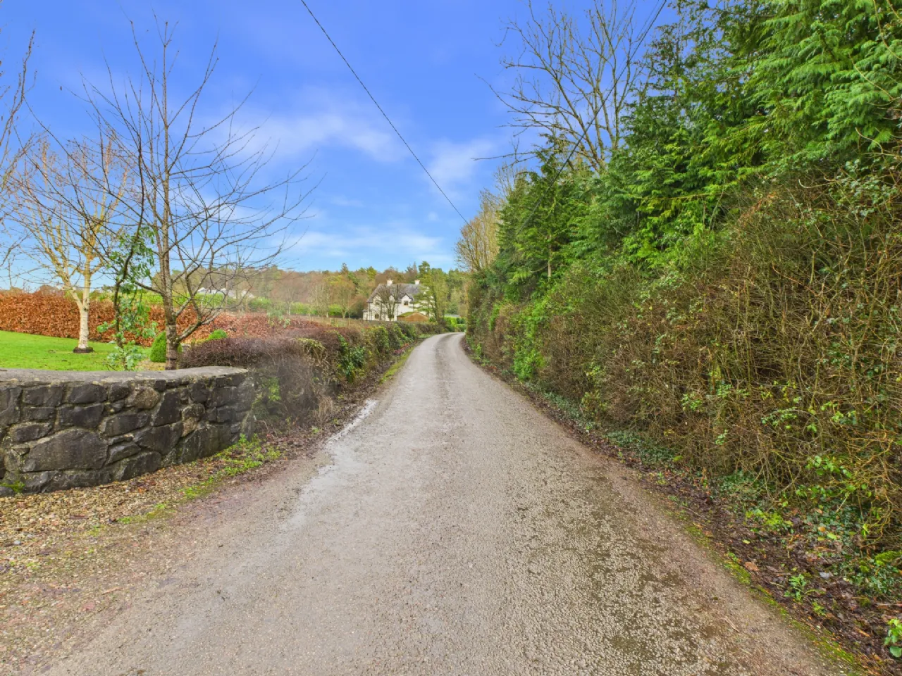 Photo of Shanvalley, Stoneyisland, Portumna, Co. Galway, H53 XC56
