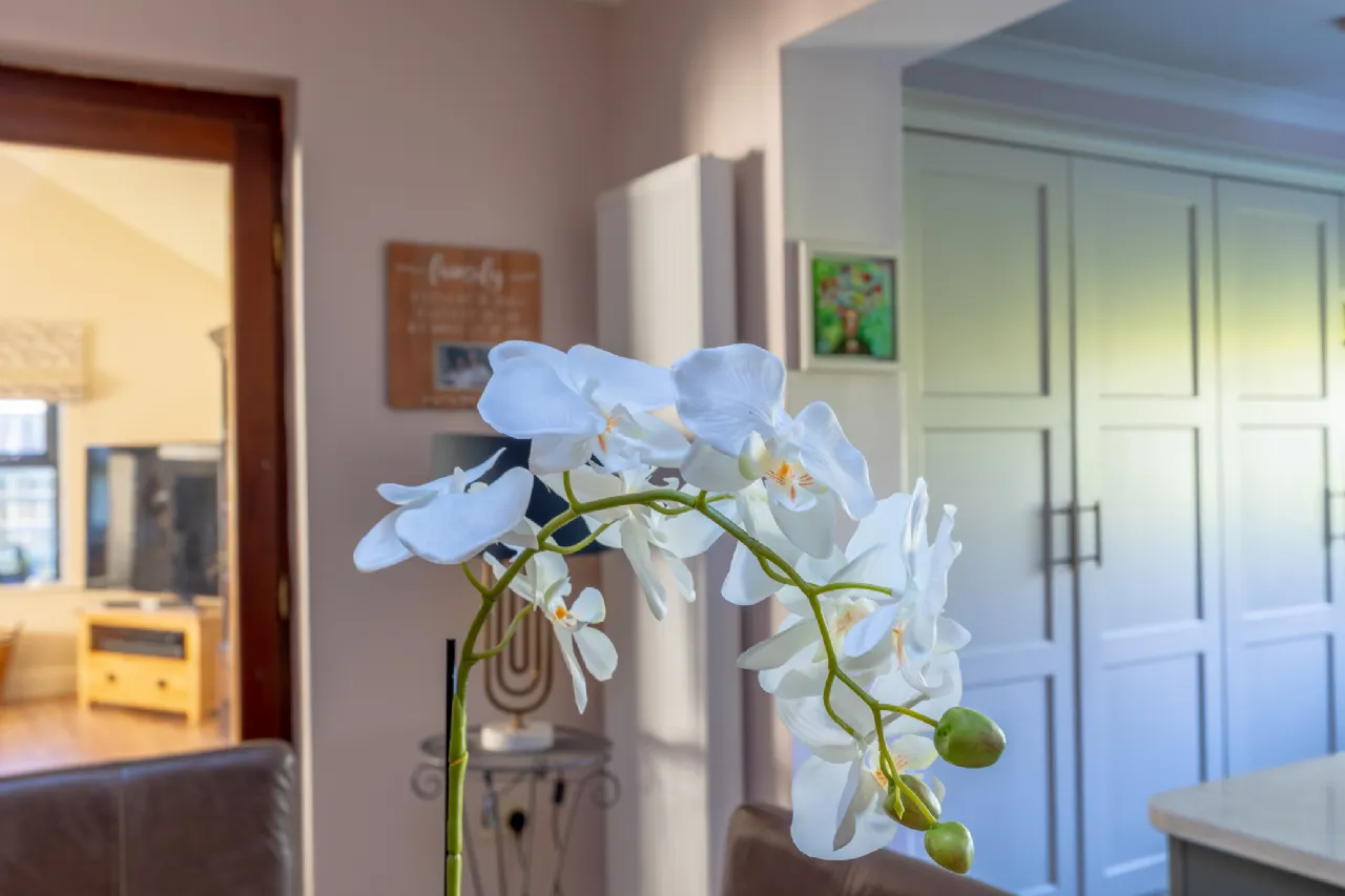 Photo of The Spa, Clonmel, Co. Tipperary, E91 NX39