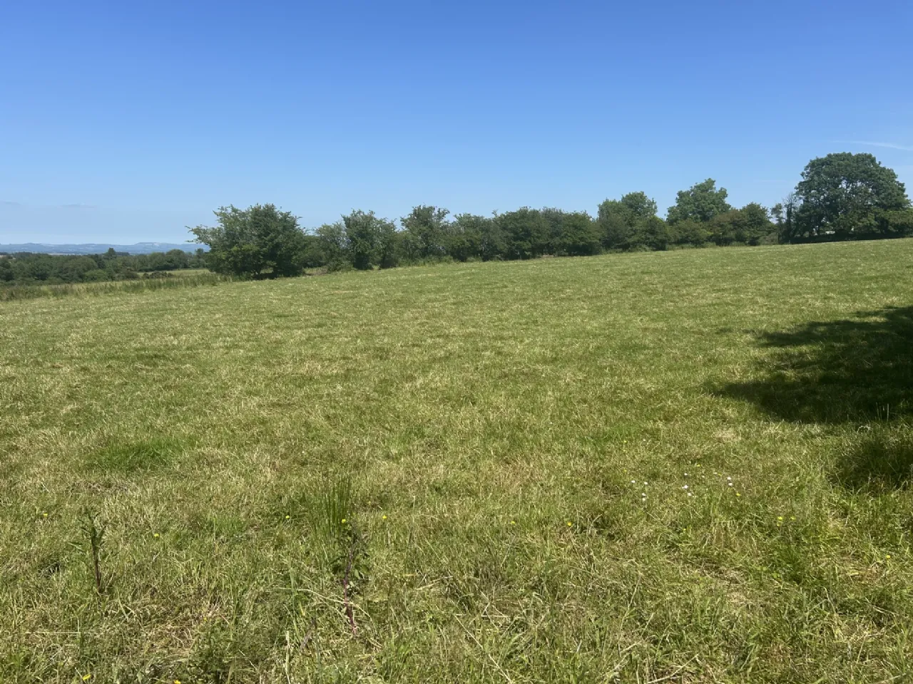Photo of Approx 17 Acres, Moanlahan, Kildinan, Co. Cork