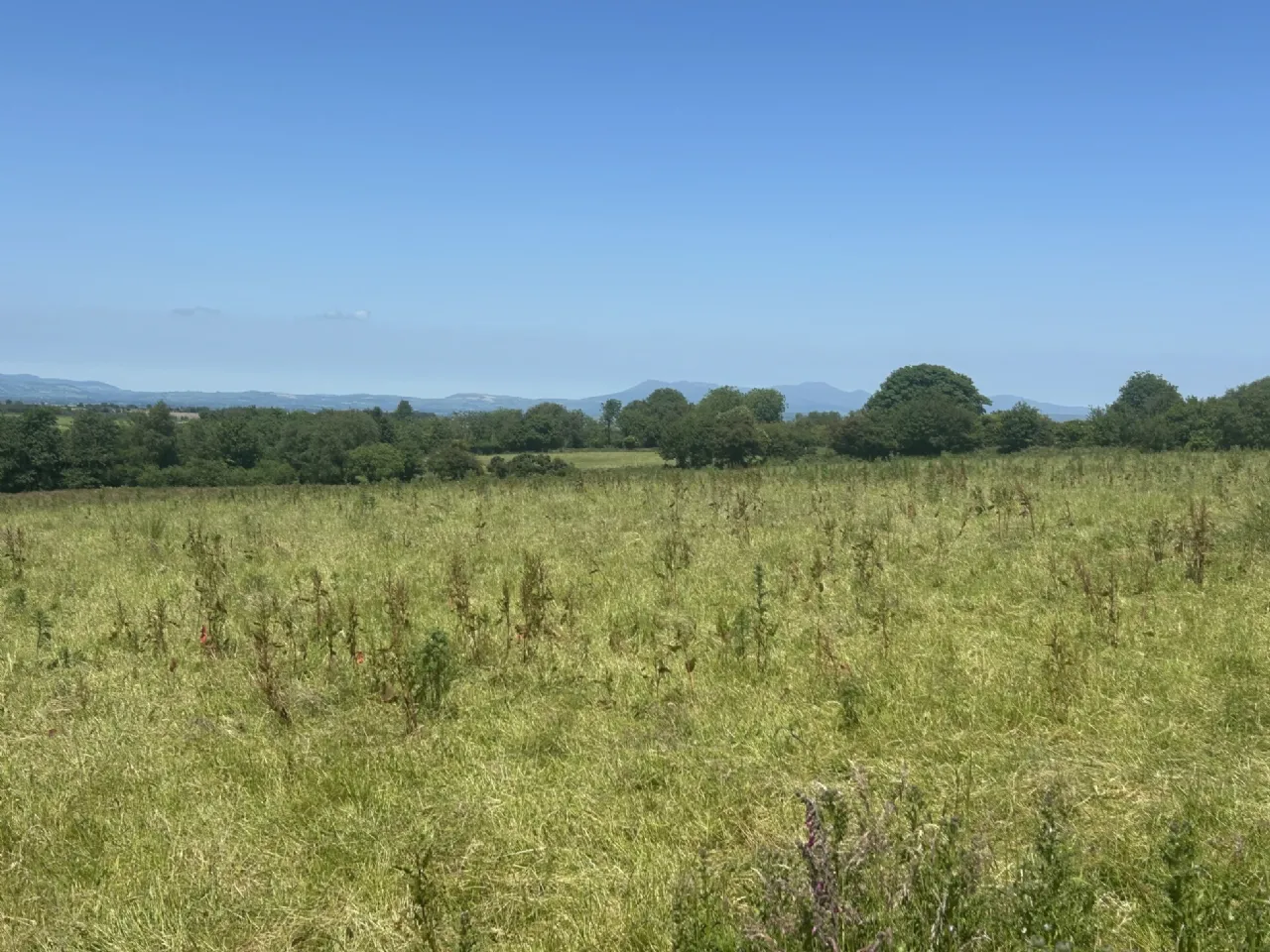 Photo of Approx 17 Acres, Moanlahan, Kildinan, Co. Cork