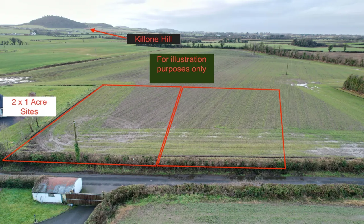 Photo of Kilone, The Heath, Co. Laois