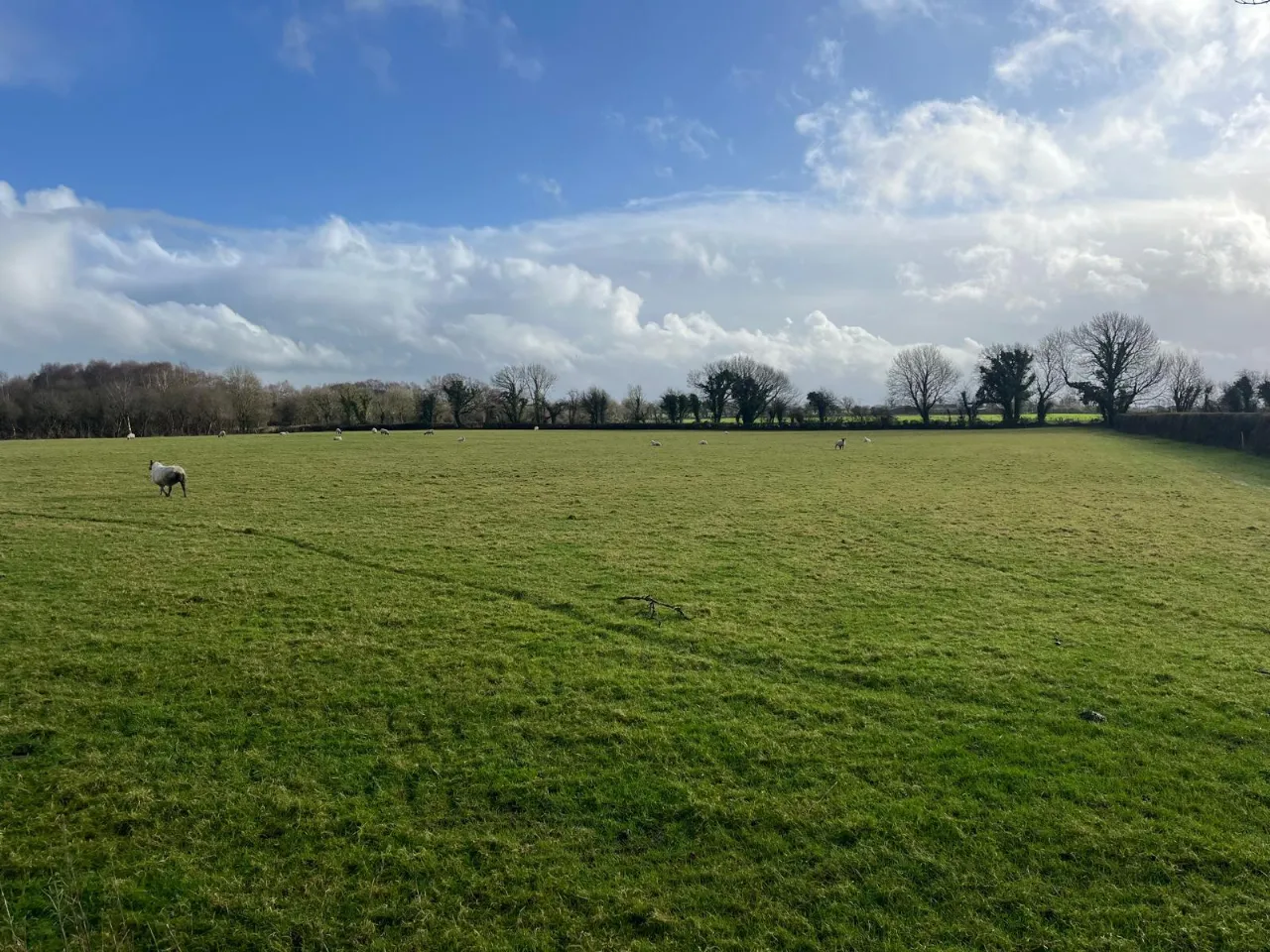 Photo of Roran, Terryglass, Co. Tipperary