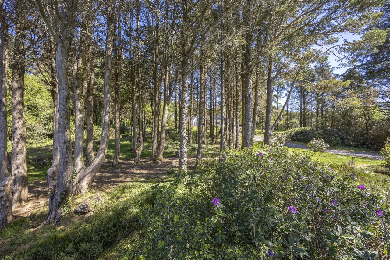 Photo of Vale Cove, Ardnaturrish Beg, Glengarriff, Co. Cork, P75 Y500