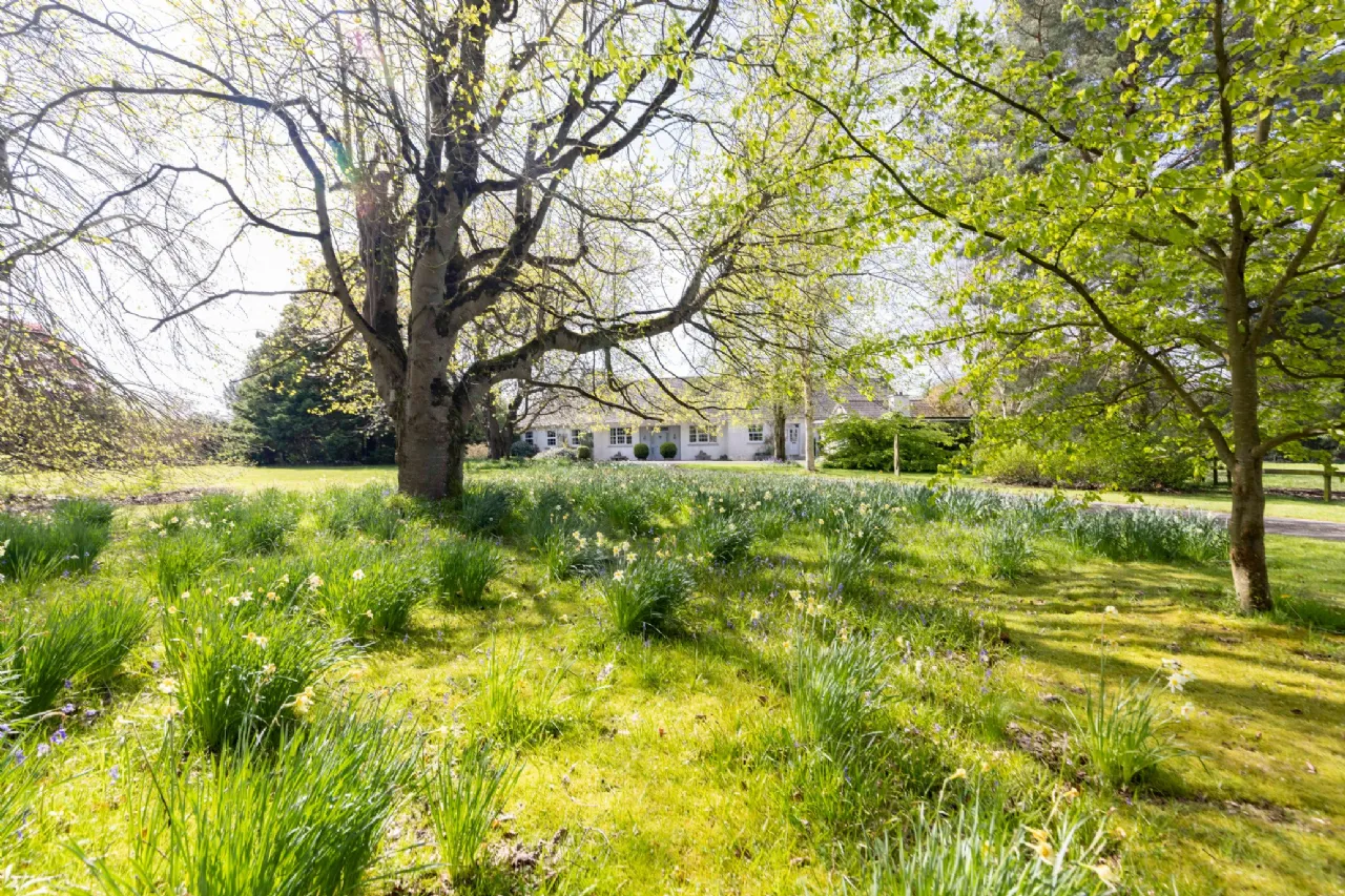 Photo of Arlonstown House, On Approx. 3.94 Hec (9.75 Acres), Swainstown, Kilmessan, County Meath, C15XY26