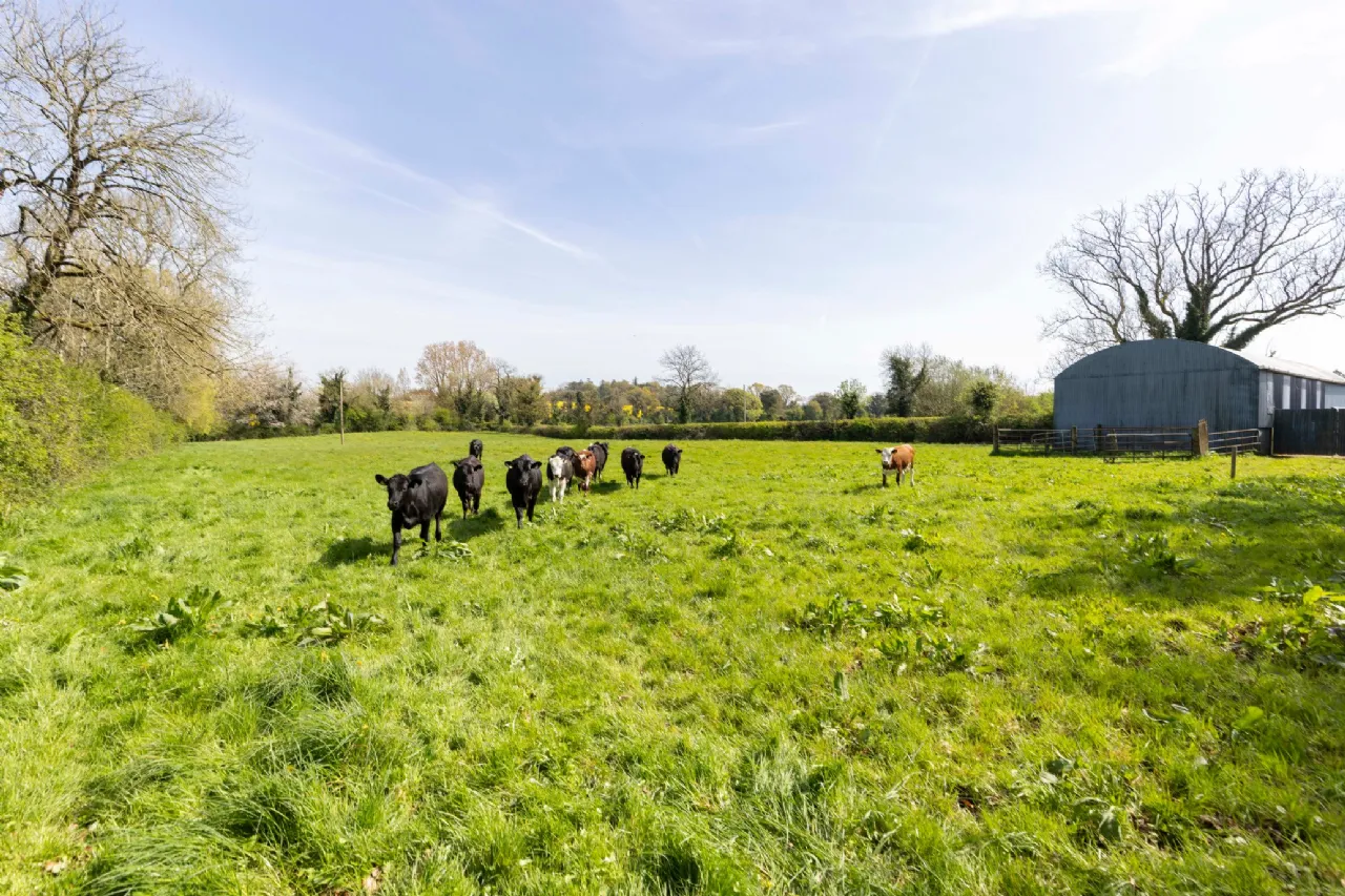 Photo of Arlonstown House, On Approx. 3.94 Hec (9.75 Acres), Swainstown, Kilmessan, County Meath, C15XY26