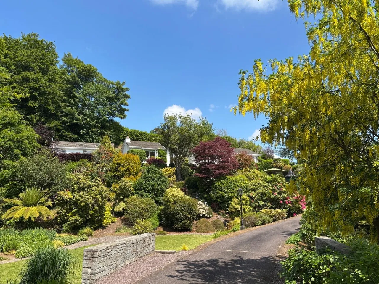 Photo of Laurel Wood, Farran, Co Cork, P14 YA00