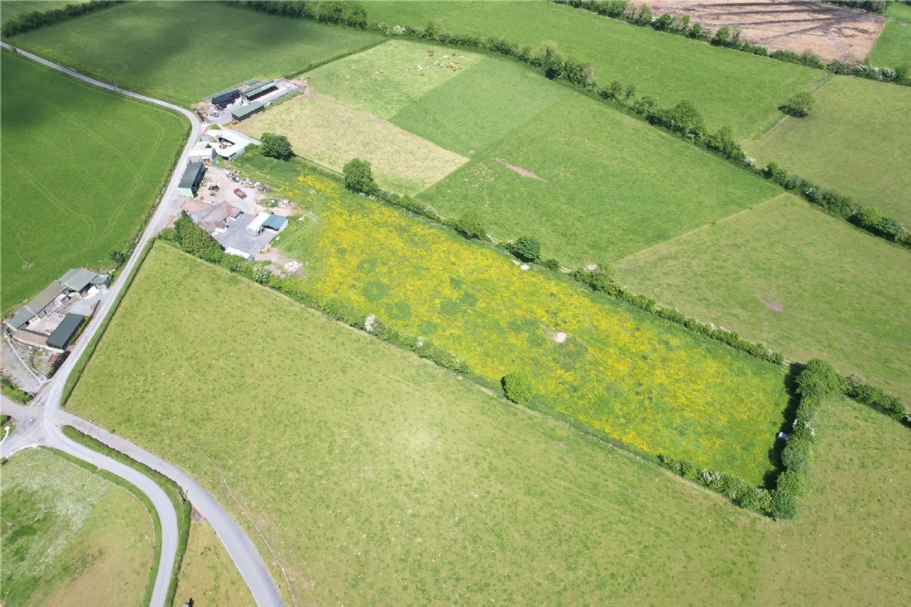 Photo of Cullahill, Knock, Roscrea, Co Tipperary, E53 H500