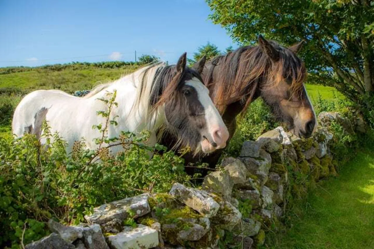 Photo of Abhaile Cottage, Ballyrean, Doolin, Co Clare, V95 NP89