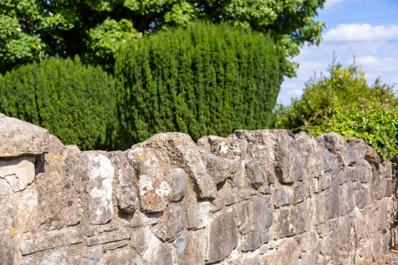 Photo of Graiguesallagh, Maynooth, Co Kildare, W23 FY83