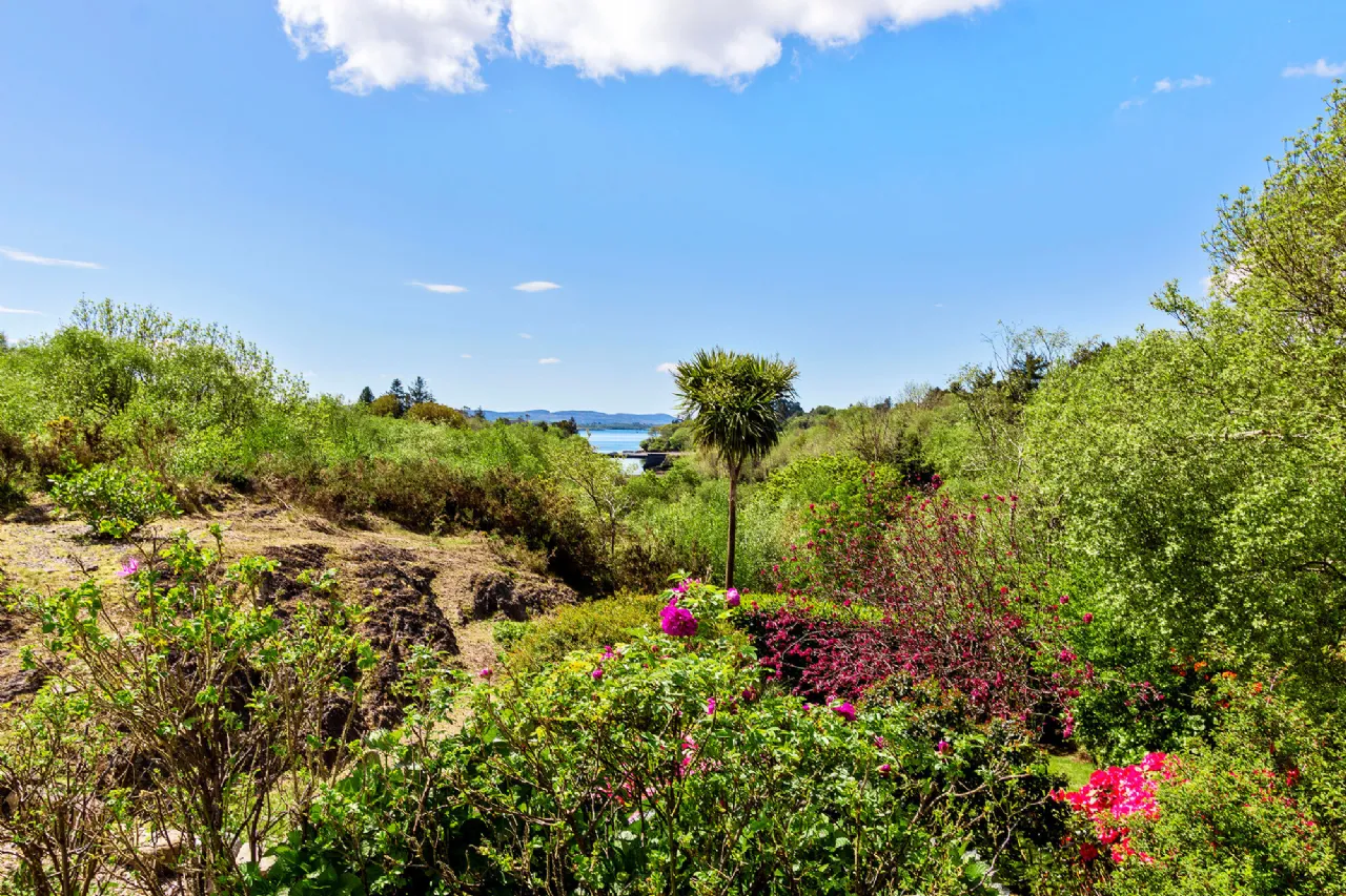 Photo of Snave, Ballylickey, Bantry, Co. Cork, P75 KR96