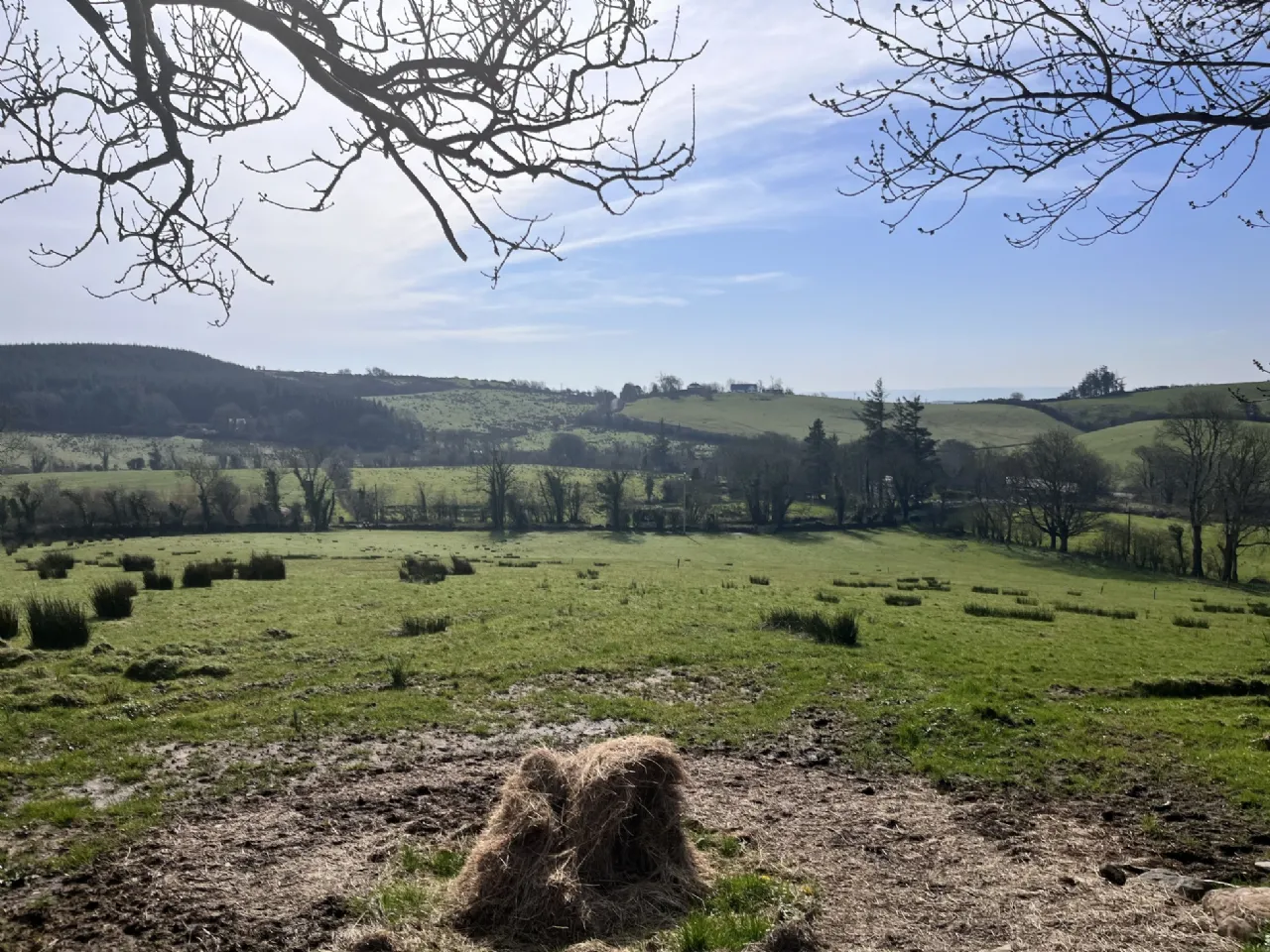 Photo of Site Sold SPP, Brockagh, Fahy, Westport, Co Mayo