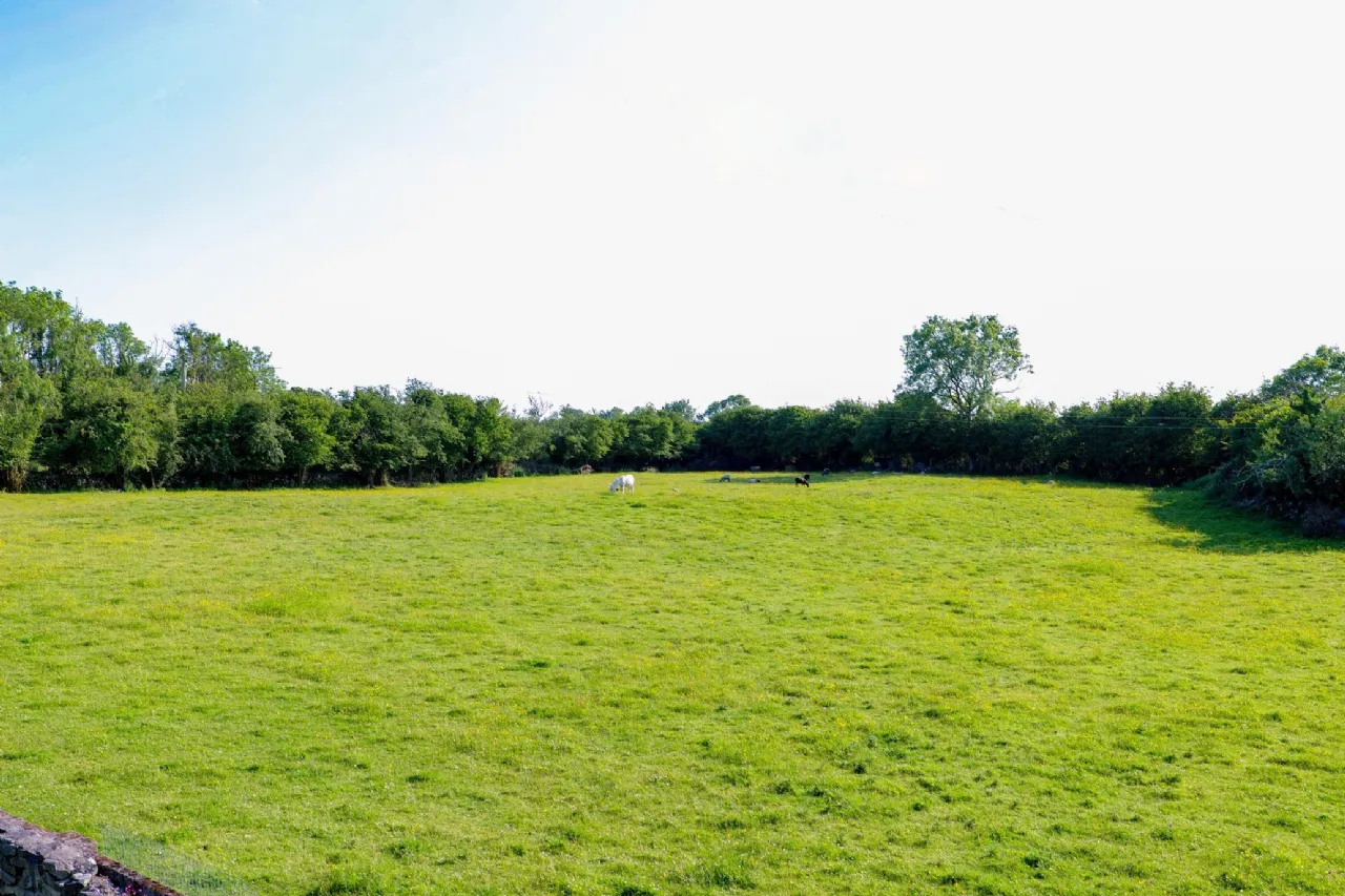 Photo of Residence On Approx. 3.87 Acres, Ganty, Craughwell, Co. Galway, H91 DDY7