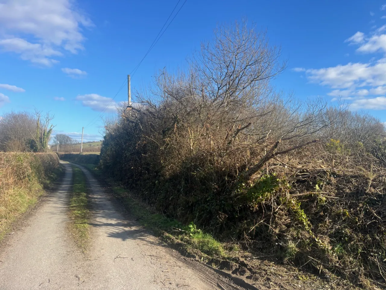 Photo of Land On Folio CE27845, Fossabeg, Scarriff, Co Clare