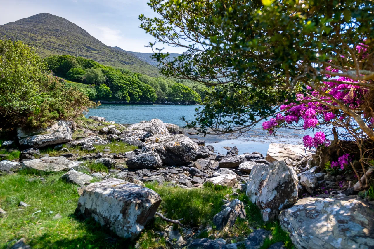 Photo of The Old Oak Cottage, Collorus, Lauragh, Kenmare, Co. Kerry, V93 W6V9