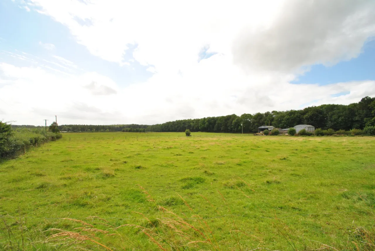 Photo of Approx. 7.55 Hectares/ 18.67, Sopwell Lands, Cloughjordan, Co. Tipperary