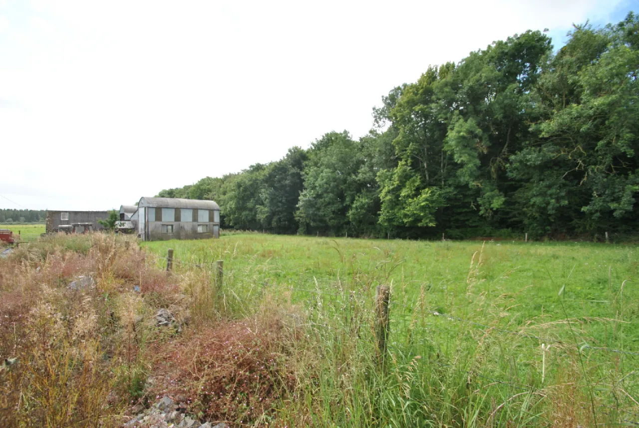 Photo of Approx. 7.55 Hectares/ 18.67, Sopwell Lands, Cloughjordan, Co. Tipperary