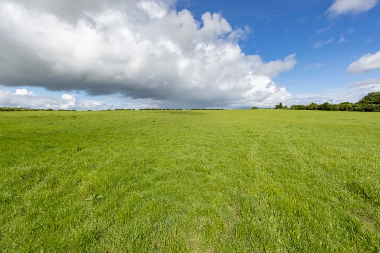 Photo of Lands At Killineer, Approx. 27.5 ha (68 acres), Drogheda, County Louth