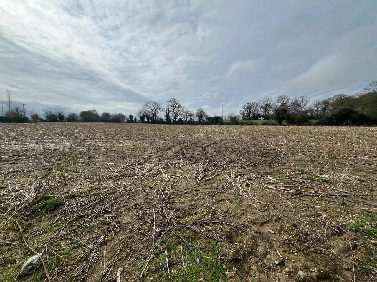 Photo of Ashley Park, Nenagh, Co. Tipperary