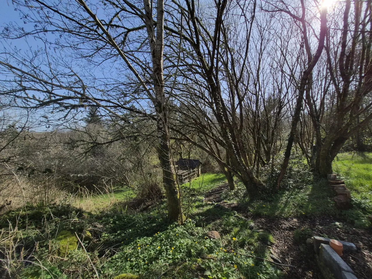 Photo of Lankill, Westport, Co Mayo, F28 V094