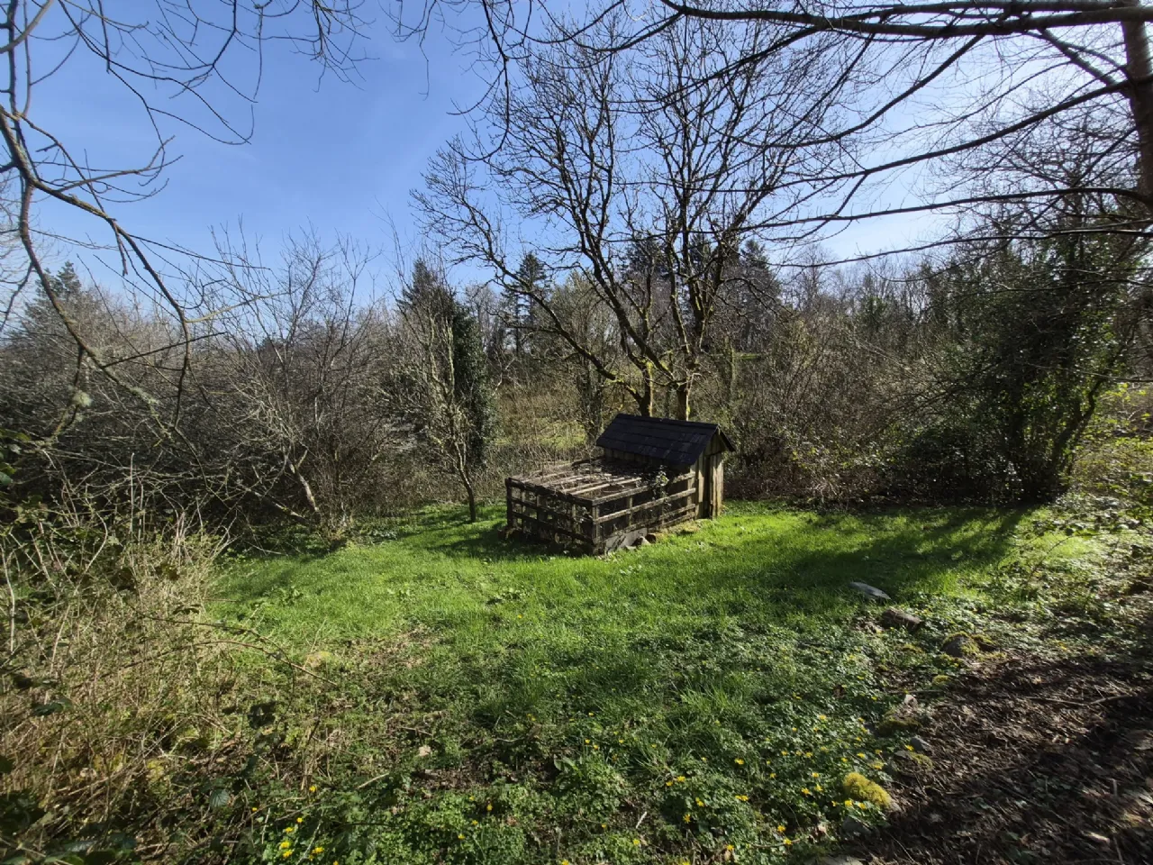 Photo of Lankill, Westport, Co Mayo, F28 V094