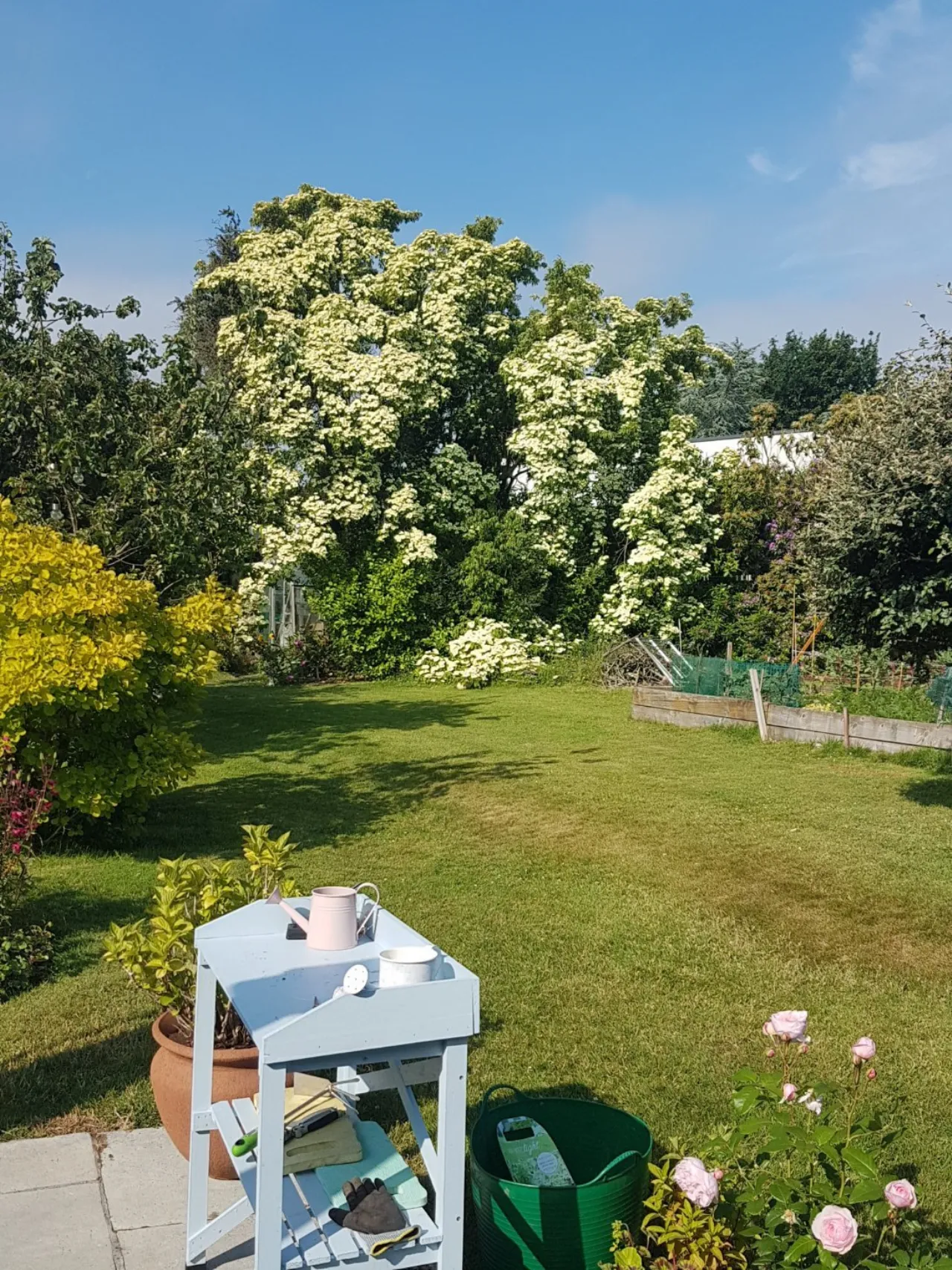 Photo of Papion, Erskine Avenue, The Burnaby, Greystones, Co Wicklow, A63 AV88