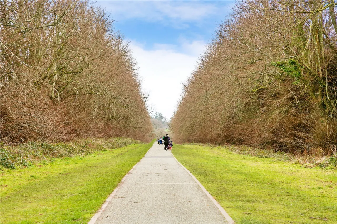 Photo of 28 Carton Square, Maynooth, Co. Kildare, W23 YV41