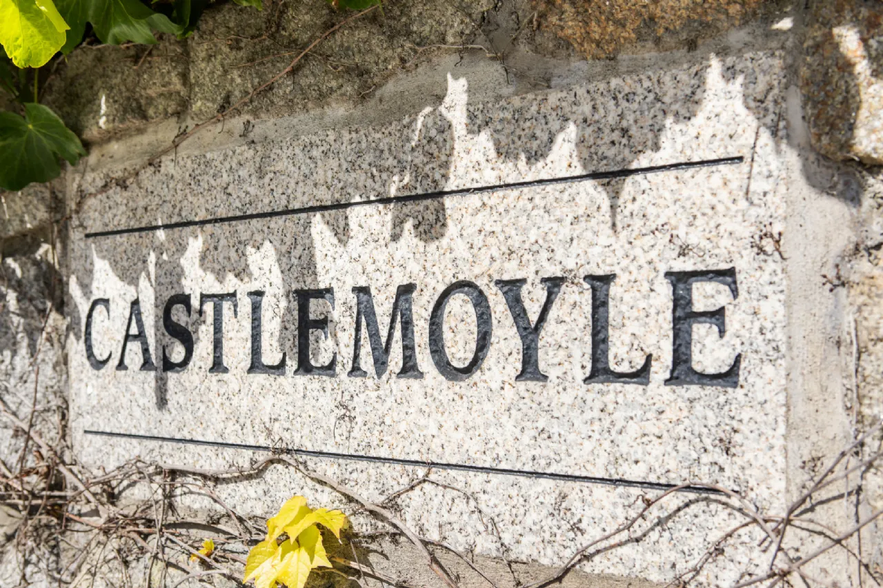 Photo of Castlemoyle, Leopardstown Road, Foxrock, Dublin 18, D18 K4H3