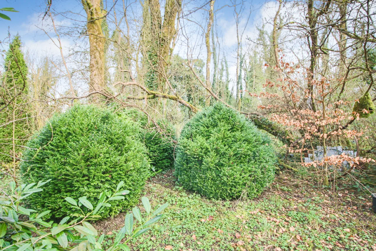 Photo of Leitrim Lower, Eslin, Co. Leitrim, N41 A6K0