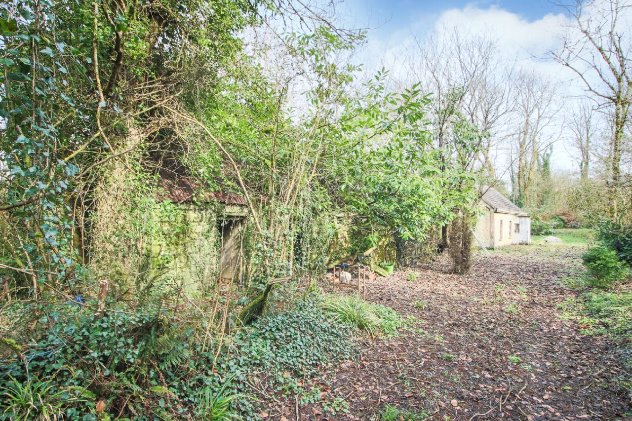Photo of Leitrim Lower, Eslin, Co. Leitrim, N41 A6K0