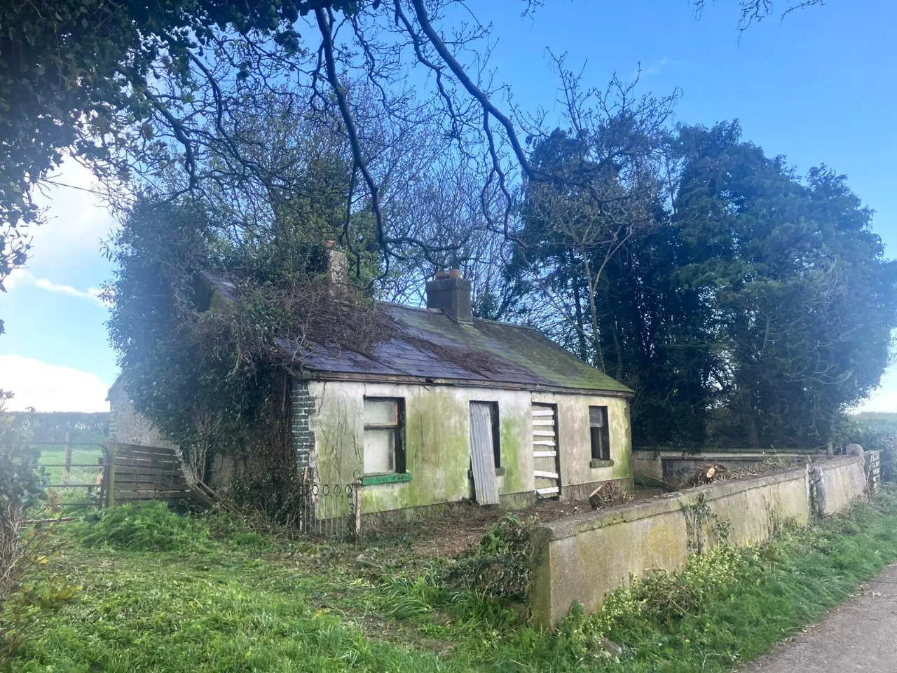 Photo of Tankardstown Site, Ballylynan, Co Laois