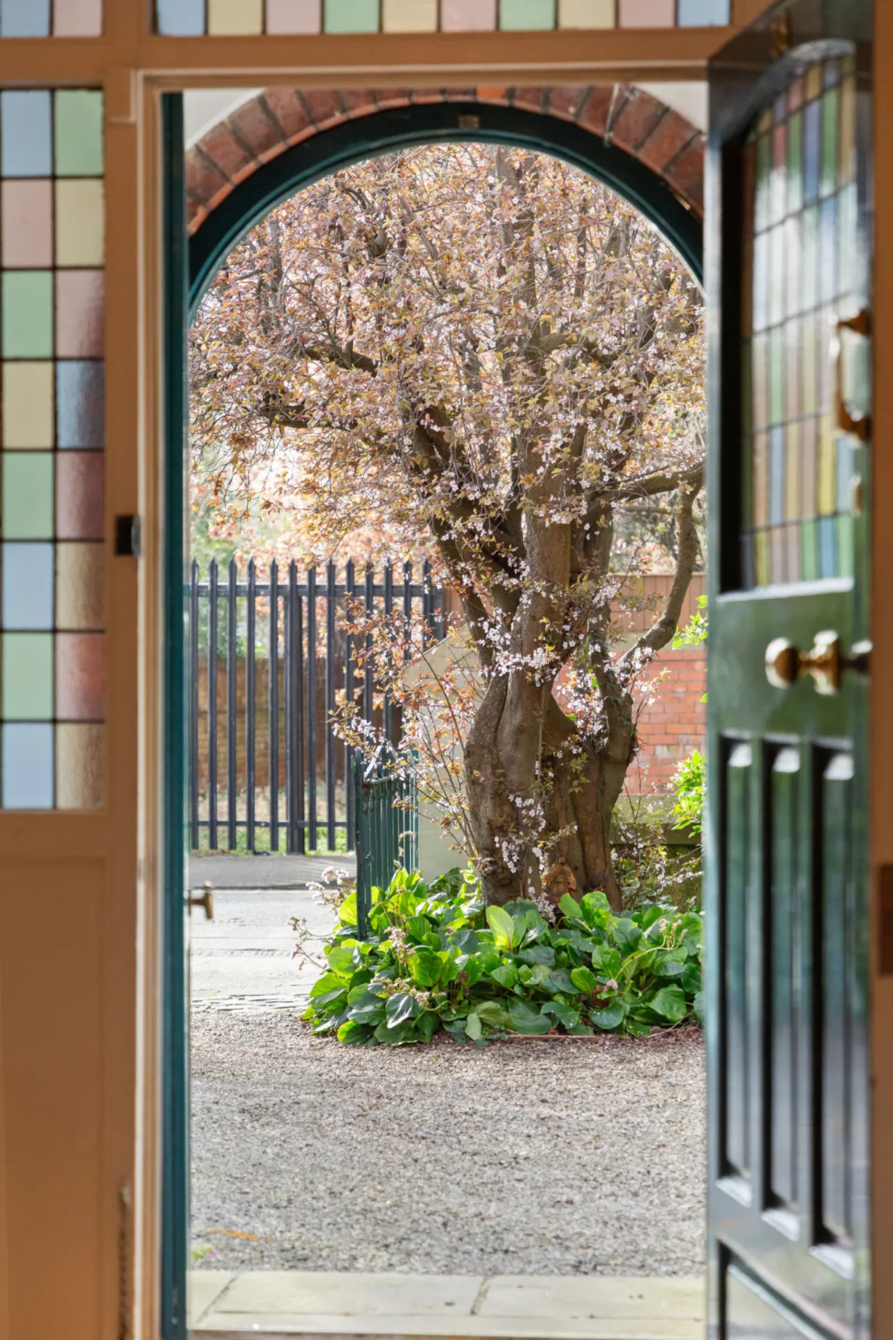 Photo of 38 Merton Road, Rathmines, Dublin 6, D06 HR62