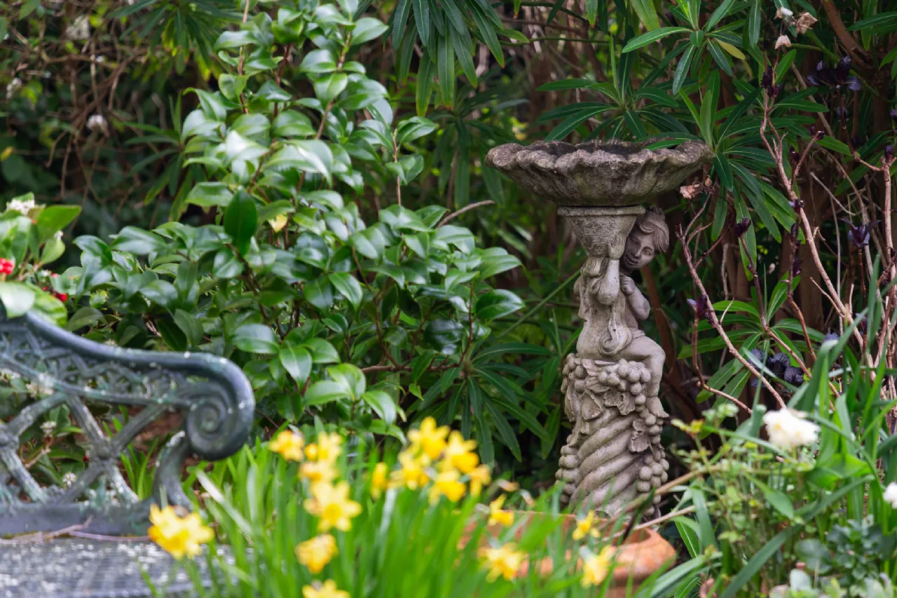 Photo of 38 Merton Road, Rathmines, Dublin 6, D06 HR62