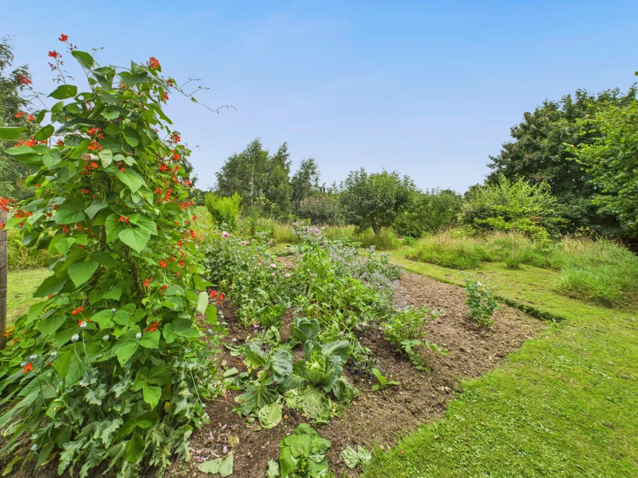 Photo of Ryehill, Ballinderry, Nenagh, Co. Tipperary, E45PV22