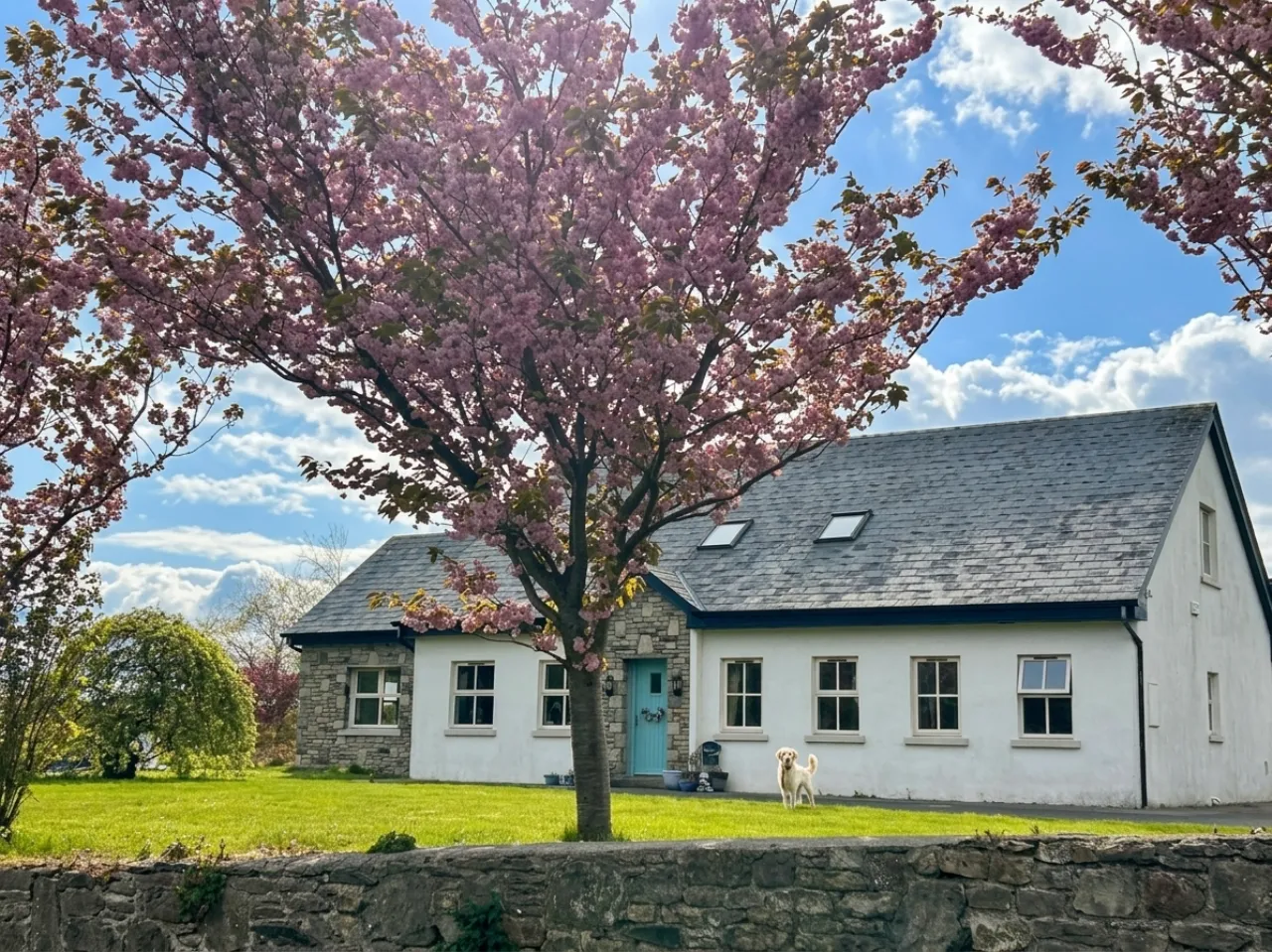 Photo of Meneen, Ardogommon, Westport, Co. Mayo, F28 Y170