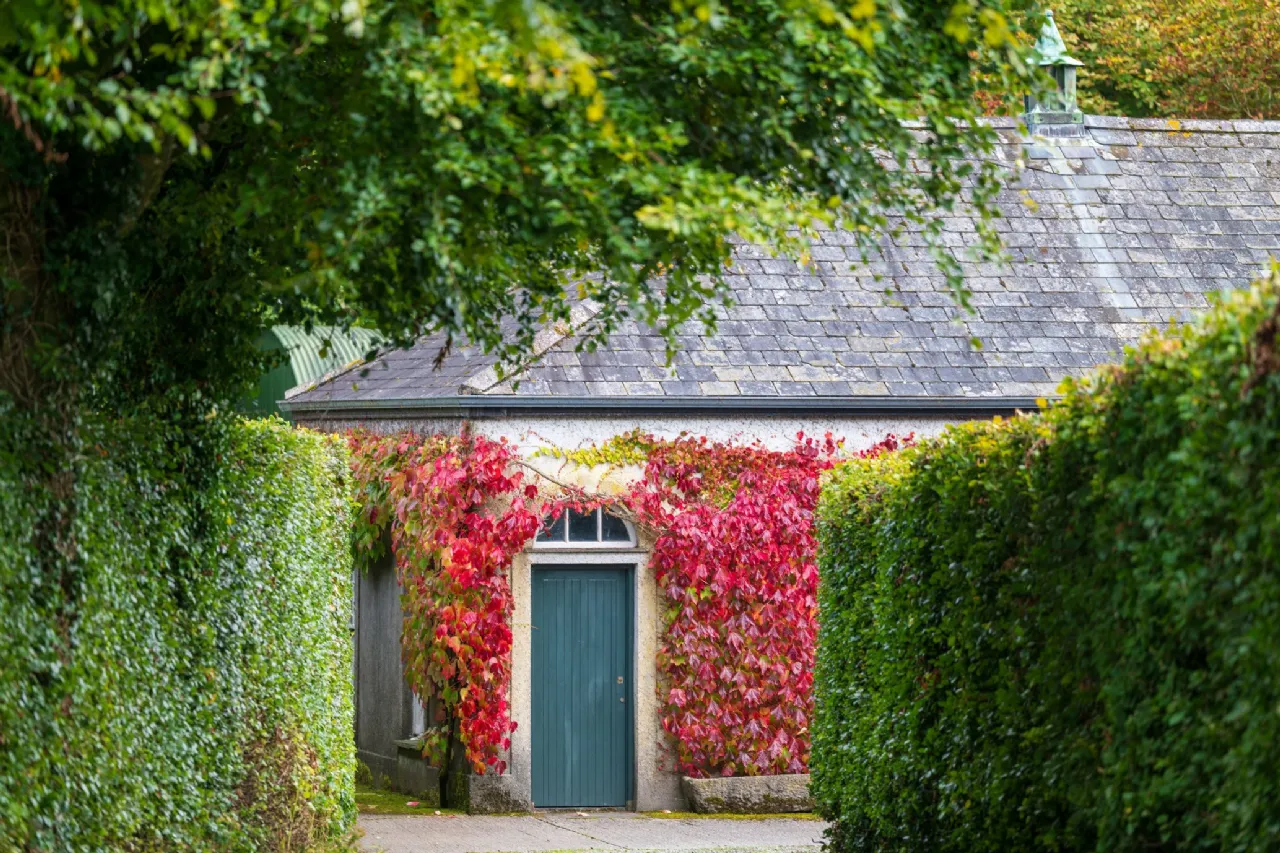 Photo of Ballysallagh House, Kilkenny, Kilkenny, R95 A6P1